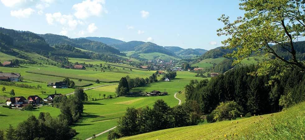 Gasthaus Zum Wilden Mann Welschensteinach Extérieur photo