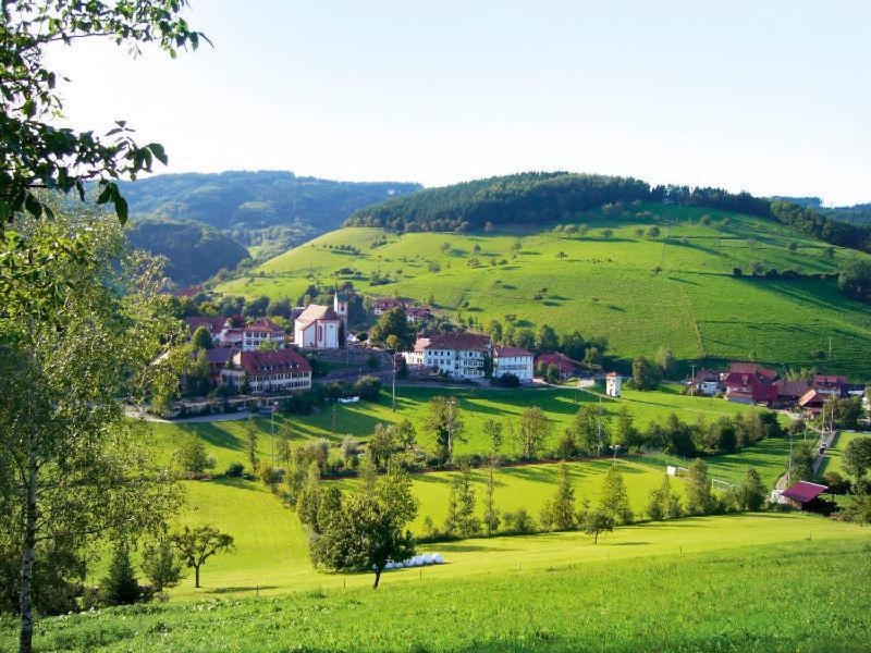 Gasthaus Zum Wilden Mann Welschensteinach Extérieur photo